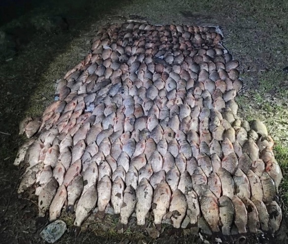 На Черкащині жінка незаконно виловила 130 кг риби та завдала збитків на понад 365 тисяч гривень