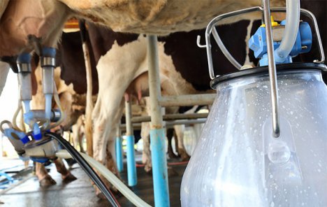 Виробництво молока в Україні падає, ферми стикаються зі зростанням витрат