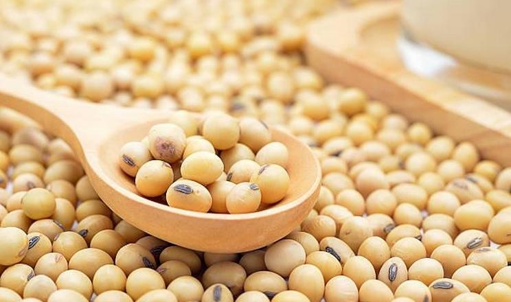 Мінімально допустима експортна ціна на українську сою на базисі FOB у березні досягла максимального рівня