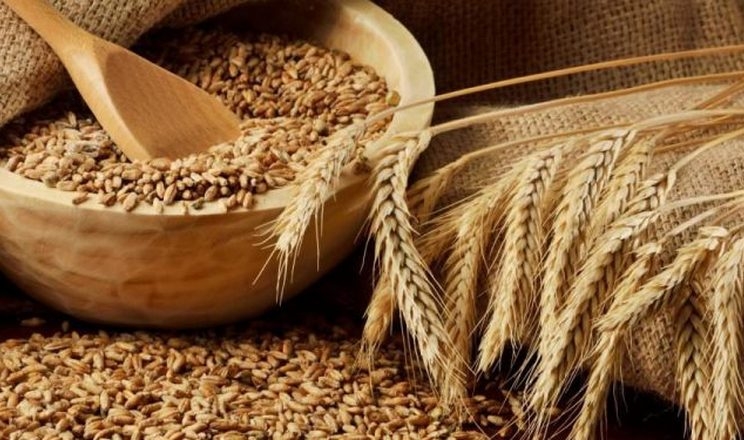 Ціни на ячмінь зафіксувались на рівні 9100-10500 грн/т