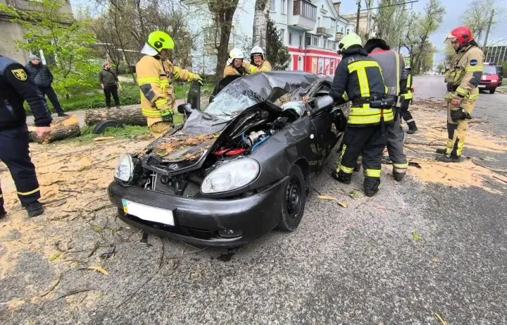 У Запоріжжі дерево впало на авто та вбило 39-річного водія під час негоди