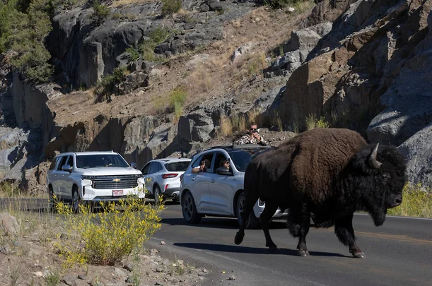 Дикий Захід приручили мільярдери