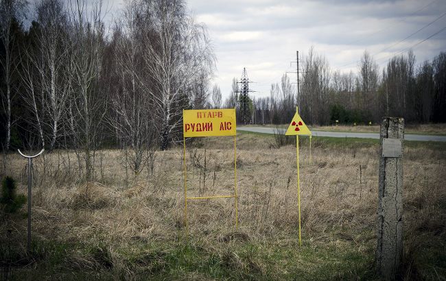 Життя під радіацією: науковець розповів, які тварини оселились у Прип'яті та рудому лісі