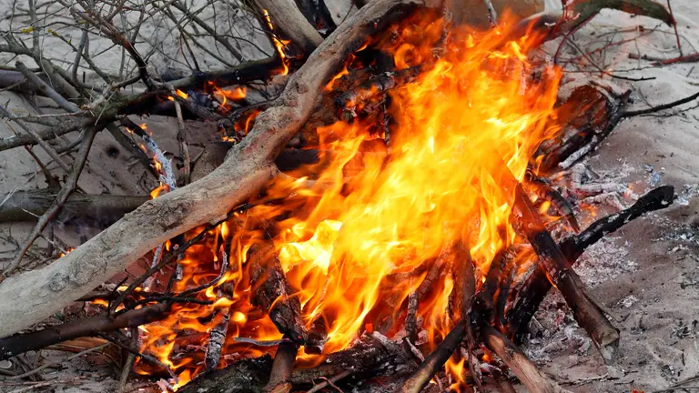 До 30 тисяч штрафу: де можна палити сухі гілки, а де краще не ризикувати