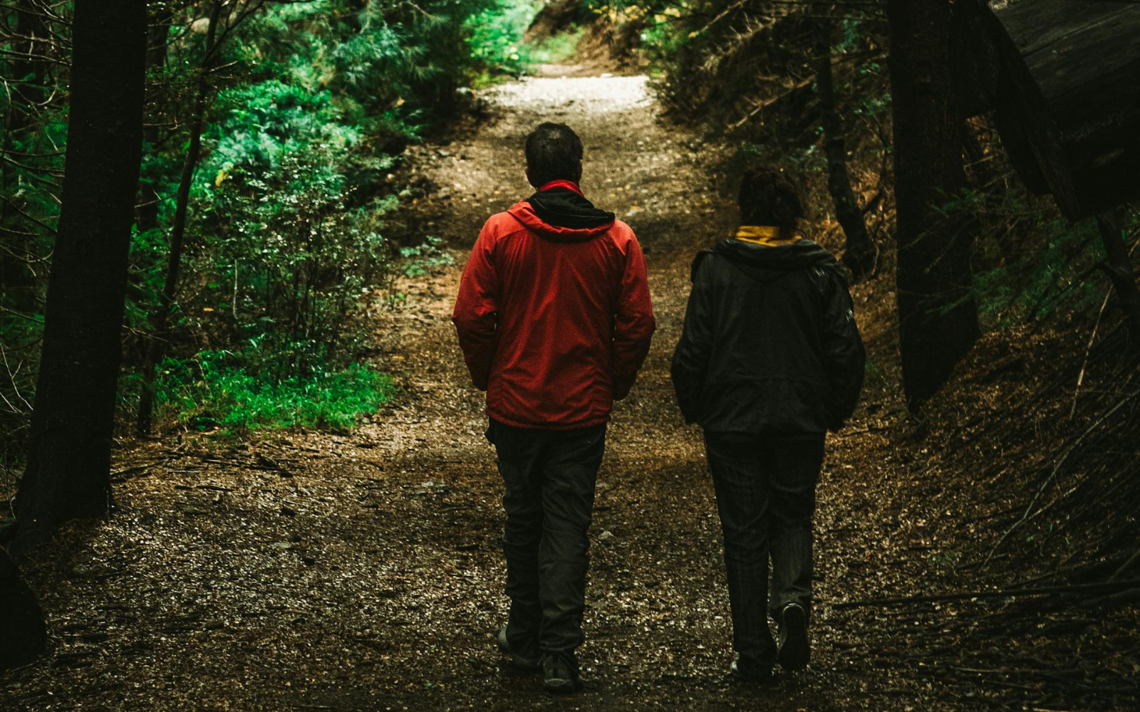 У Києві чоловік видав себе за підлітка, щоб зґвалтувати 11-річну дівчинку