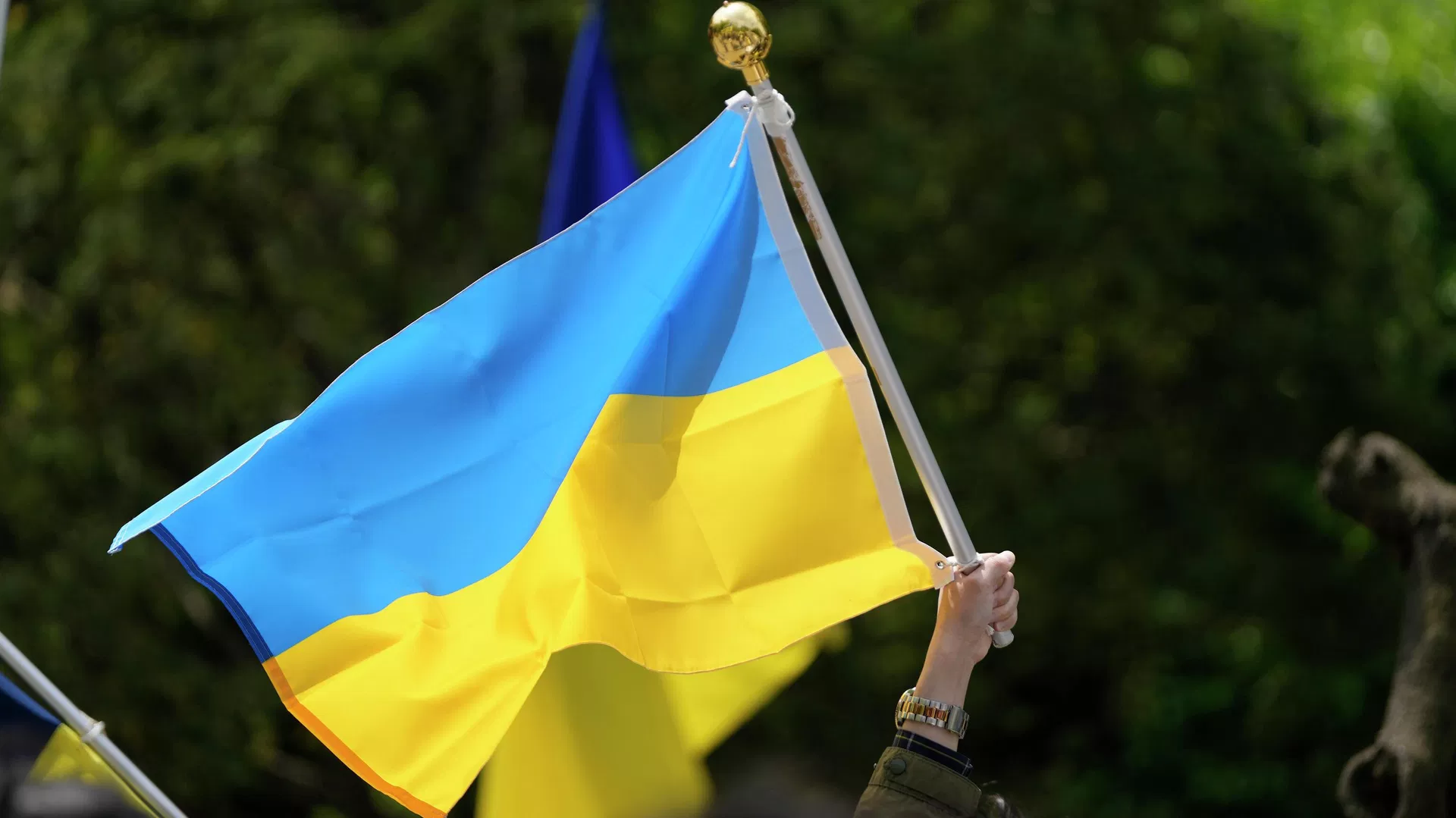 На Україні шахрай заволодів грошима матері загиблого військового