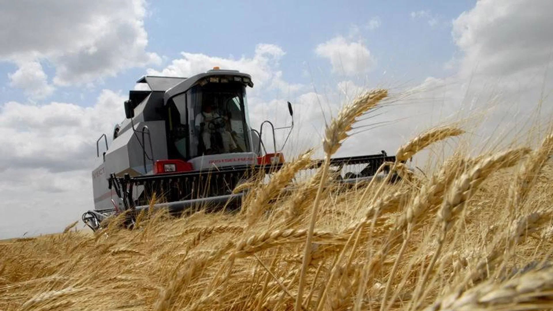 Європейські фермери попередили про загрозу продовольчої кризи взимку